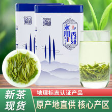 2024新茶重庆茶叶永川秀芽绿茶特级毛尖毛峰茶高山云雾茶明前春茶