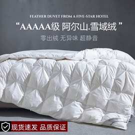 五星级酒店正品羽绒被冬季加厚保暖被子95白鹅绒单人双人春秋被芯