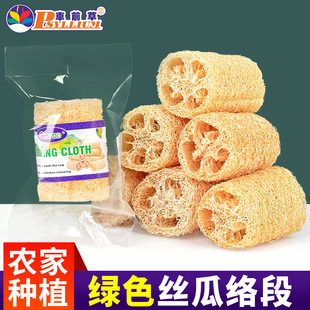 �Gɫ�z�Ͻj��ϴ�������N������ˢ偰ٝ����ɽz��ȿȥ��ϴ�벼���l