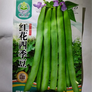 �t���ļ����N���S�a�o��ǷN�Ѽܶ�ܿ���N���r���ļ����߲˷N��