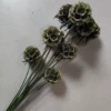 Blotting green