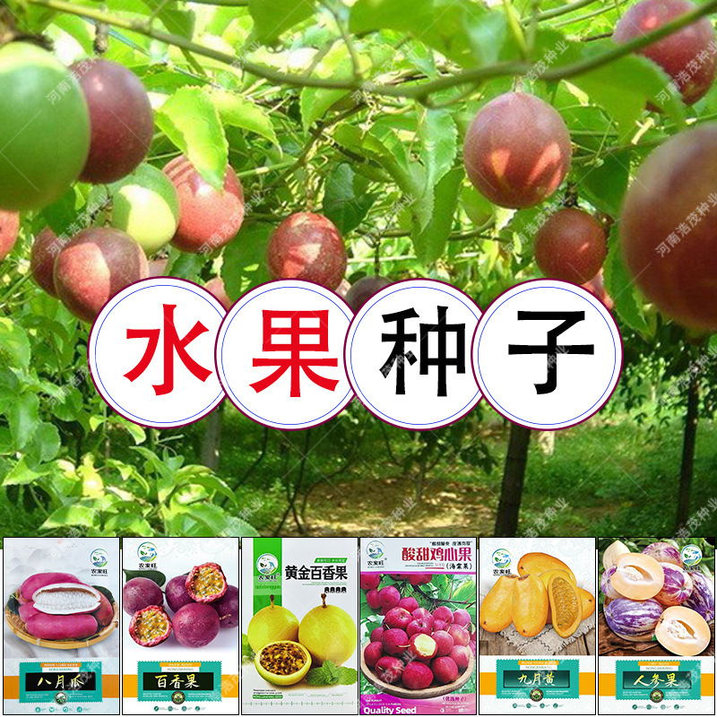 Colorful Gourd Seeds, Chicken Heart Fruit Seeds, Purple-Yellow-Skinned Passion Fruit Seeds, August Melon Seeds, September Yellow Seeds, Fruit Seeds Wholesale