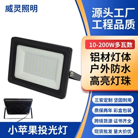 投光灯;投射灯;埋地灯