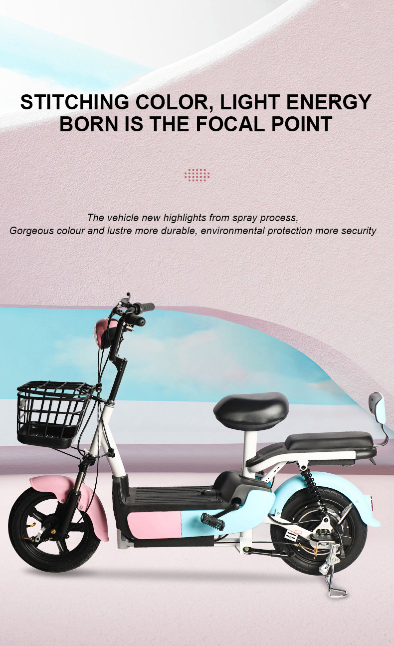 Custom Electric Bicycle, New National Standard, 48V 60V