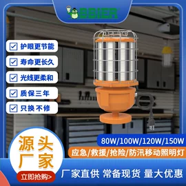 路灯;移动工作灯;工矿灯