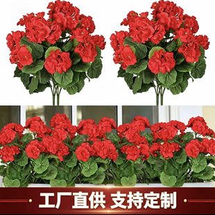 �羳���컨���Ļ���Ƭ30����Y��Y�zӰ���ÿ������Ҿӑ���ͥԺ�b