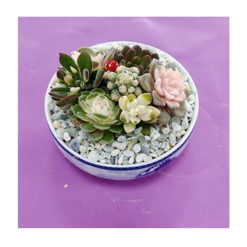 ����Ⱦɫ����ʯ | �����쾰/԰��װ��/ˮ�岼��ר�ò�ɫʯ��&zwnj;