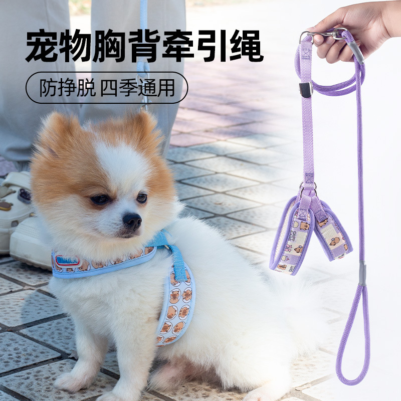cuerda para perros pasear perros gato perros cuerda de tracción perros pequeño tipo chaleco anti- mordedura dibujos animados adorables mascotas productos de pecho y espalda