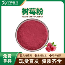 树莓粉水溶树莓果粉树莓汁粉树莓喷雾粉覆盆子果粉1kg现货速发