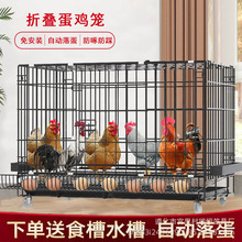 养鸡家用大号特大号鸡笼自动滚蛋折叠养殖笼自动清粪鸡笼子鸭鹅笼
