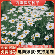 IշNӶ׷NݷNӾ^GͺͥԺ^N