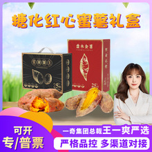 【严选】 福建糖化红心蜜薯礼盒代发5斤新鲜蔬菜生地瓜非六鳌蜜薯