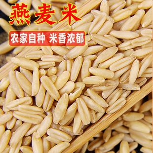 Yunnan Oatmeal, Coarse Grains for Chickens, Wheat Kernels for Cooking Porridge, Shelled Rice, Hamster Germ Rice, Farm Produce