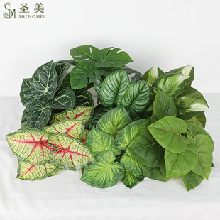 ������~��Gֲֲ��쾰�S������O���~�����~�b����~ֲ��