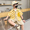 Summer shirt for boys, trousers, set