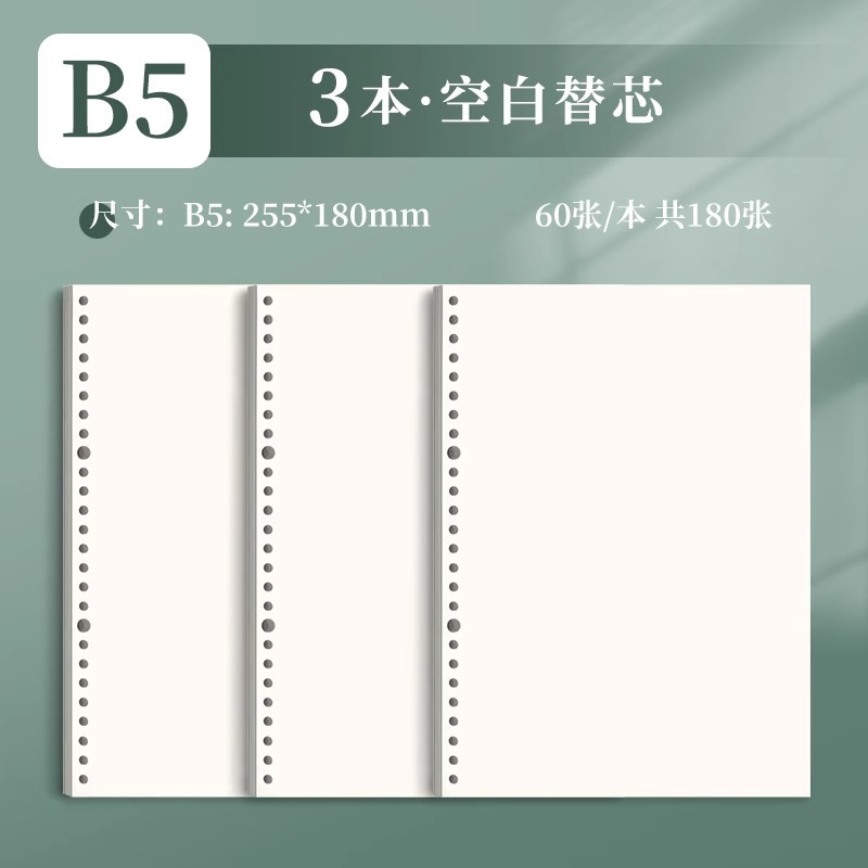 B5 • blank internal core • 3 books ☞180 (pages 360)