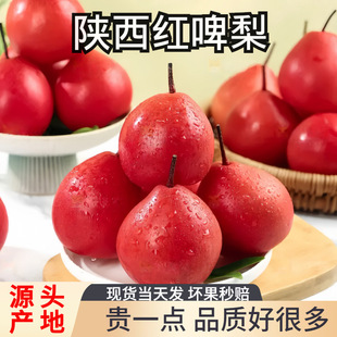 �tơ��9�����rˮ����������tƤ��tƢ��ʺ���ܛŴ�����Ӯ���