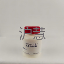 科研试剂 低熔点琼脂糖 Agarose L.M.P CAS：9012-36-6 可开票