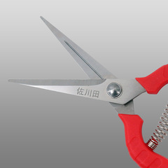 Taiwan Sakawada 905 fruit picking scissors, fruit picking steel core thin fruit scissors, grape scissors, stainless steel pepper picking scissors