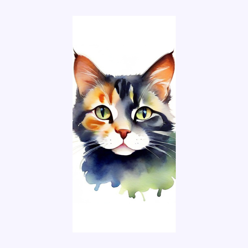 貓