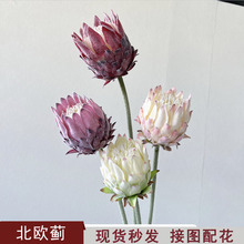 单支北欧蓟仿真花家居拍摄道具青木香花艺装饰婚庆植绒帝王花高品