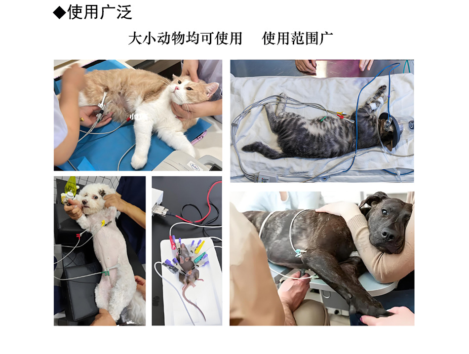 兽用2303g-6.jpg