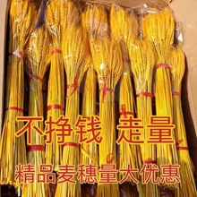 ��Ȼ�S�������� ����_�I�c�仨�@�b��Ĕz���߲廨�[���ɻ����l