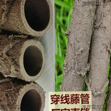 ���ٿ��Ĺ������b�������|늾����o��Ƥ�����ܘ��ٗl�ٹ�