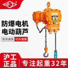 沪工厂家小型固定运行380V提升机起重机电机倒链防爆环链电动葫芦