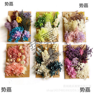 &radic;�ɻ����������Ѻ�����ϰ�������޹Ϟ�T��