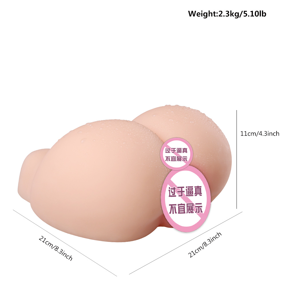 산샤 [2.3kg~칼라박스 포함]