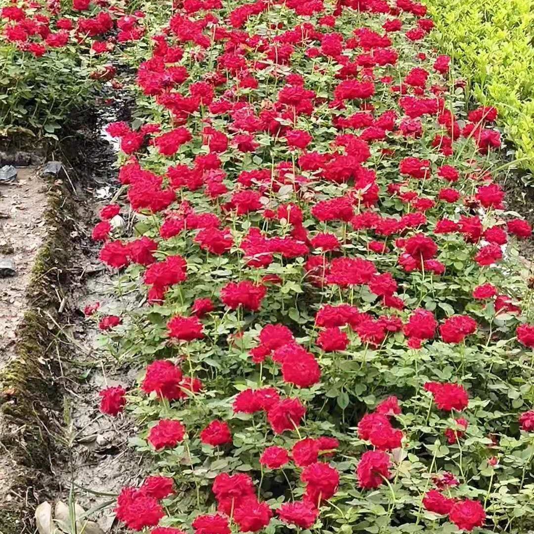 2024-03-26 21:40:31.jpg