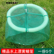 5���bˮ��Ư�S�X�W�S�X���X�\���q�\�X�~�\�O�W�S�X�\�¿�Ư�W