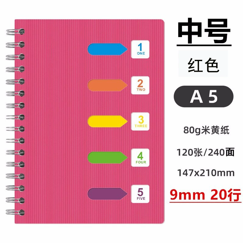 Spiral Sectioned Student Notebook, Korean Style, A5/B5 with Colored Tab Dividers