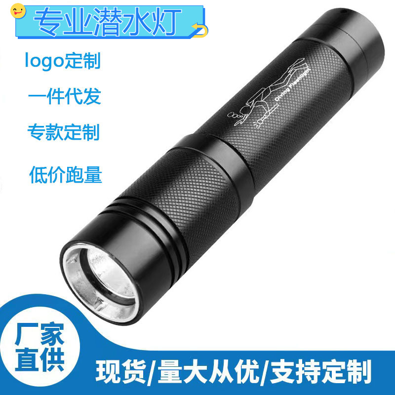 Linterna impermeable anfibia de 100 metros del fabricante, luz fuerte recargable, luz de buceo profesional submarina súper brillante de largo alcance