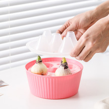 郁金香种球专用花盆五孔水培盆风信子洋水仙种子专用三孔水培花盆