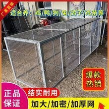 �����ۯB���ӻ\���÷����F�z�W�Bֳ�\�u�\���u���Z���S���Ǽ��ܻ\