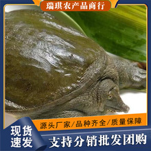 1-5���r�����B����Ұ�B���L���~���w���S�����M����ˮ�~���w�F�~