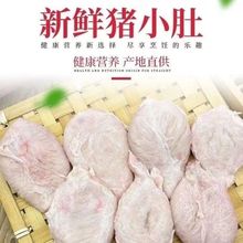 新鲜猪小肚猪尿泡猪膀胱非猪肚子生肚食用整只包邮中国包装常qiju