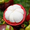 goods in stock Thailand Trees Mangosteen fresh Trees Ma Zhu Season pregnant woman fruit Place of Origin One piece On behalf of