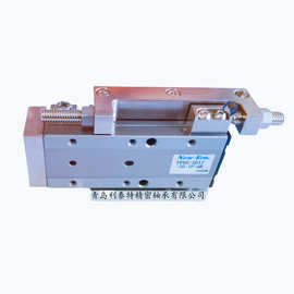 日本新时代New-Era气缸PPUS-SD12-30-TPQR PPUS-SD12-45T直线滑台