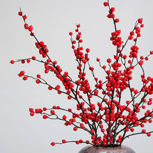 ��Ʒ�|�L֦���涬��t���Sɳ�����{��֦�͏d����b������c�廨