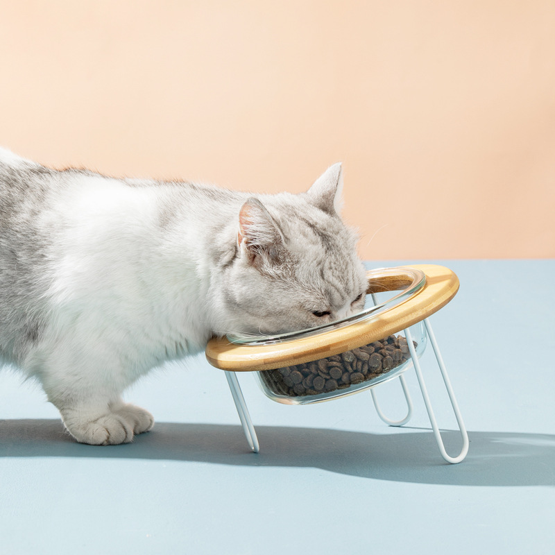 Vidrio gato tazón alta pierna protección cervical vértebra gato comida tazón gato perro gato cuenca beber tazón PET snack tazón de cerámica al por mayor
