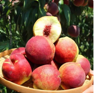 ɽ�|�������Ҵ���Ӳ�����r����ë����������Ӳ���ЋD����ˮ����