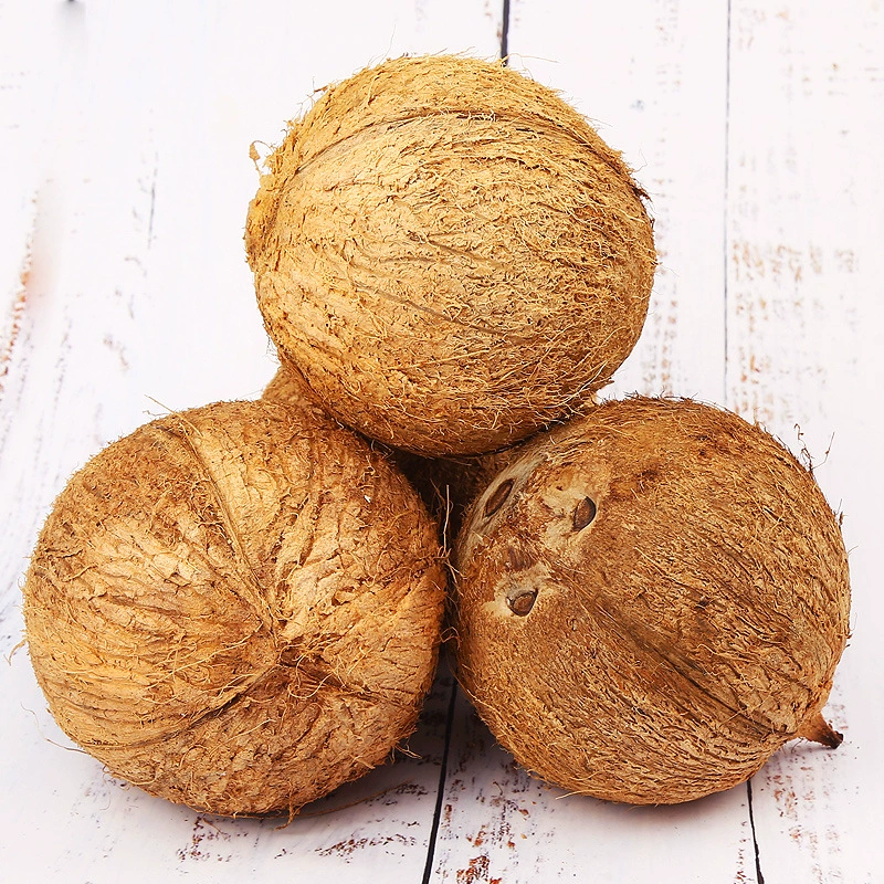 Hainan Old Coconut Fresh, 5 упаковок, очищенное кокосовое молоко, кокосовое королевское кокосовое сокровище, сезонные фрукты, кокосовый зеленый сок для беременных женщин