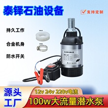 oˢ100w12v24v220vݼyˮ VW ӴԴ ˮ_P