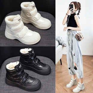 �W�tѩ��ѥŮ2025���ﶬ���¿��׷����n��ӽq�Ӻ��������Ь��