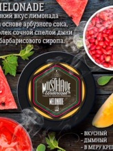 125g ��ȼMUSTHAVE ������ˮ�� SHISHA FLAVOR�����ͻ�ľ������