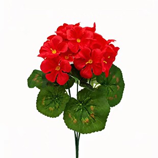 �羳���R�dTemu���N����ٻ����Ļ� ��c�Ҿ��b��滨���ÿ�