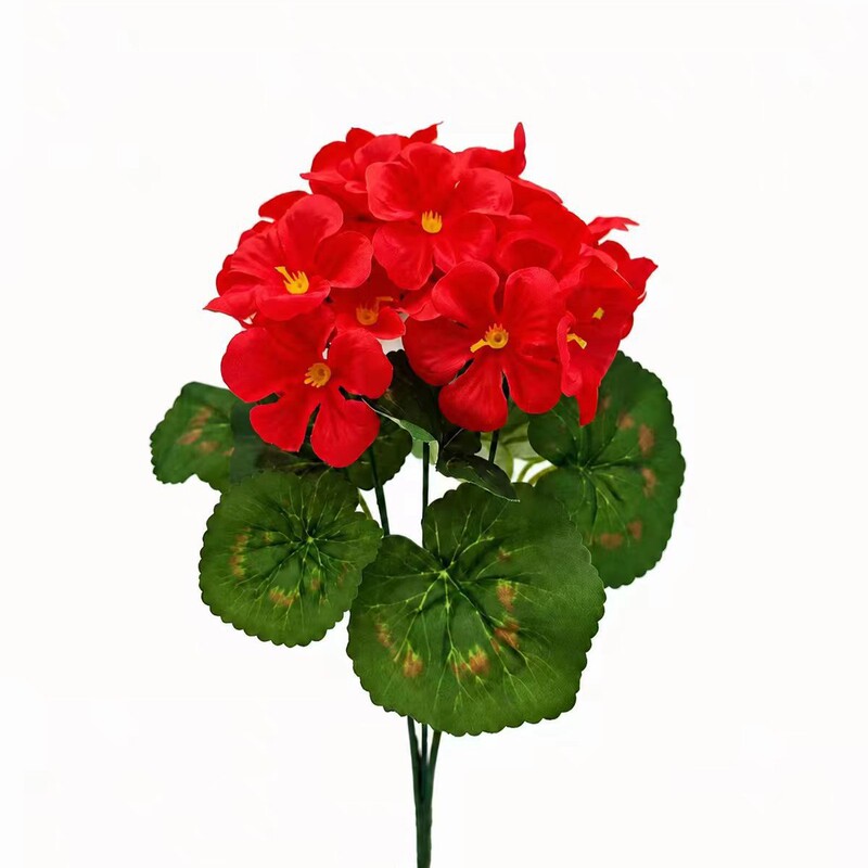 Cross-Border Amazon Temu Hot-Selling Artificial Flowers, Fake Begonia Flowers, Artificial Geraniums for Wedding and Home Decoration Cross-Border Amazon Temu Hot-Selling Artificial Flowers, Fake Begonia Flowers, Artificial Geraniums for Wedding and Home Decoration